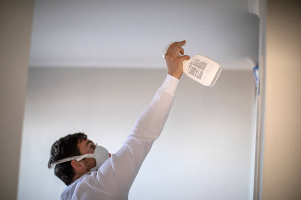 Best Toxic Mold Removal  in Point, TX