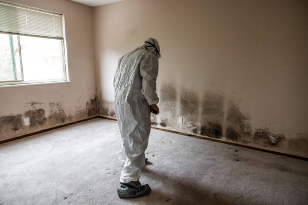 Best Mold Testing  in Point, TX
